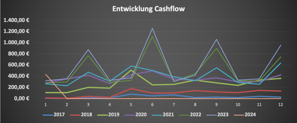 Cashflow Januar 2024